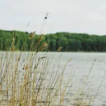 A9 