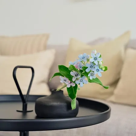 Apartment A 9 